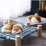 朝日とペットグッズと犬猫