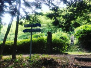 分岐点をイメージさせる萩の分かれ道