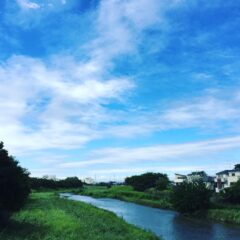 朝の散歩で、朝陽を浴びて！幸せホルモン・セロトニンを分泌する♪