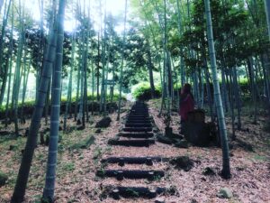 健全そうなイメージの萩の竹林道