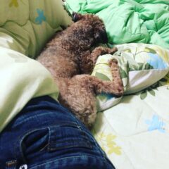 冬支度・生活環境の衣替えグッズ！こたつの設置もう済みましたか♪