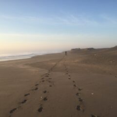 朝のジョギング・朝練・朝トレ！エクササイズの気付きによる変化と成長♪