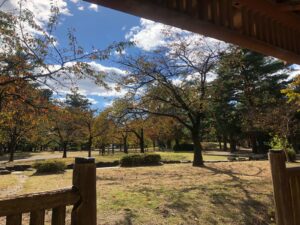 秋の公園