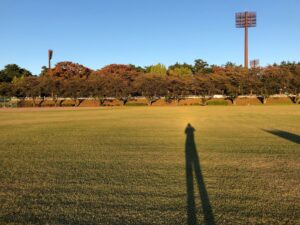 秋の公園と西日