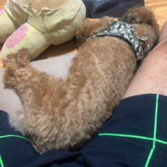 睡眠の姿勢グッズ！仰向け・横向きの時の工夫♪